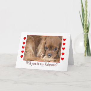 Seras-tu ma carte de Saint-Valentin Spaniel