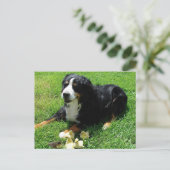 Serena en de Ducklings Briefkaart (Staand voorkant)