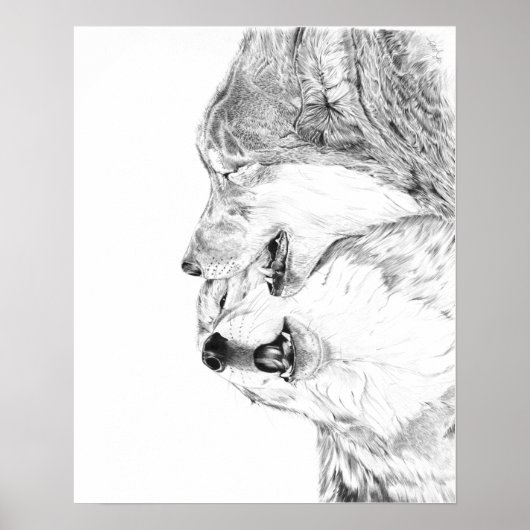 Serenade Poster (Voorkant)