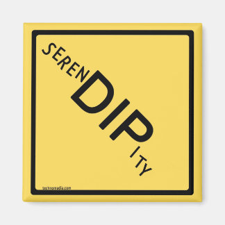 SerenDIPity Magnet Magneet