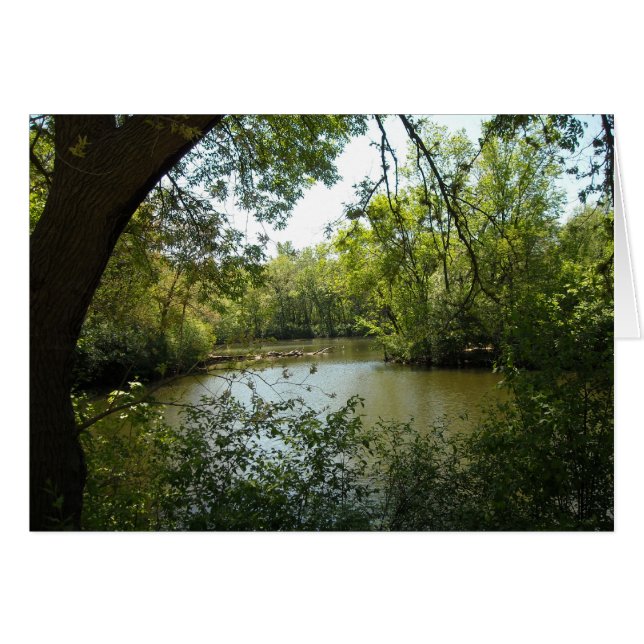 serène (Devant horizontal)