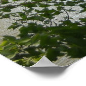 Serene 2 poster (Hoek)