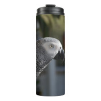 Serene African Gray Parrot