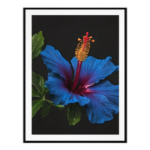 "Serene Bloom: De Schoonheid van Blauwe Hibiscusbl Foto Afdruk