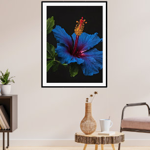 "Serene Bloom: De Schoonheid van Blauwe Hibiscusbl Poster