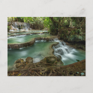 Serene Bos Waterval Pools Ansichtkaart Briefkaart