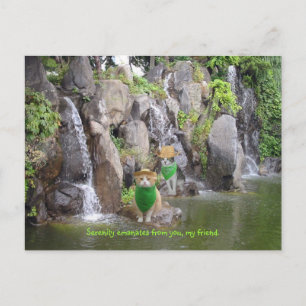 Serene Bubba Briefkaart