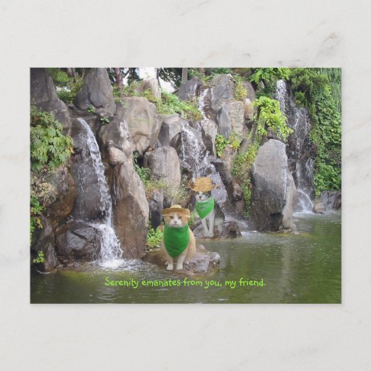 Serene Bubba Briefkaart (Voorkant)