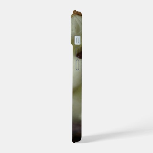 Serene Cherub Repos (Côté gauche)