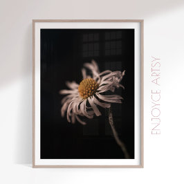 Serene daisy bloem stilleven foto muur kunst poster