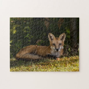 Serene Fox Legpuzzel