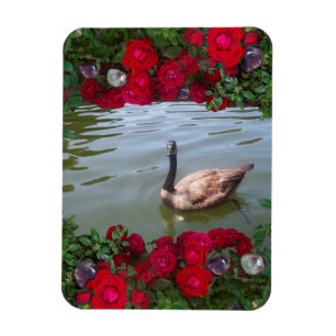 Serene gans of Wilde Roos Pond Magneet