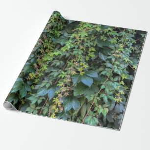Serene Groene Ivy Wall Hanging Vines Plant Bladere Cadeaupapier