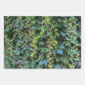 Serene Groene Ivy Wall Hanging Vines Plant Bladere Inpakpapier Vel (Voorkant 3)