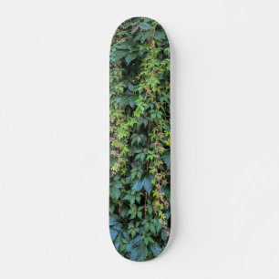 Serene Groene Ivy Wall Hanging Vines Plant Bladere Skateboard