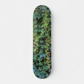 Serene Groene Ivy Wall Hanging Vines Plant Bladere Skateboard