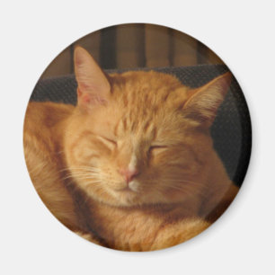 Serene Kat Magneet