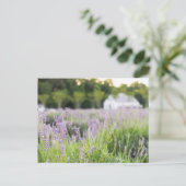 Serene Lavendelvelden Briefkaart (Staand voorkant)