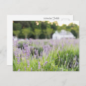 Serene Lavender Fields Briefkaart (Voorkant / Achterkant)