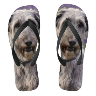 Serene Majesteit: Wolfshond Zittend in een Paarse Teenslippers