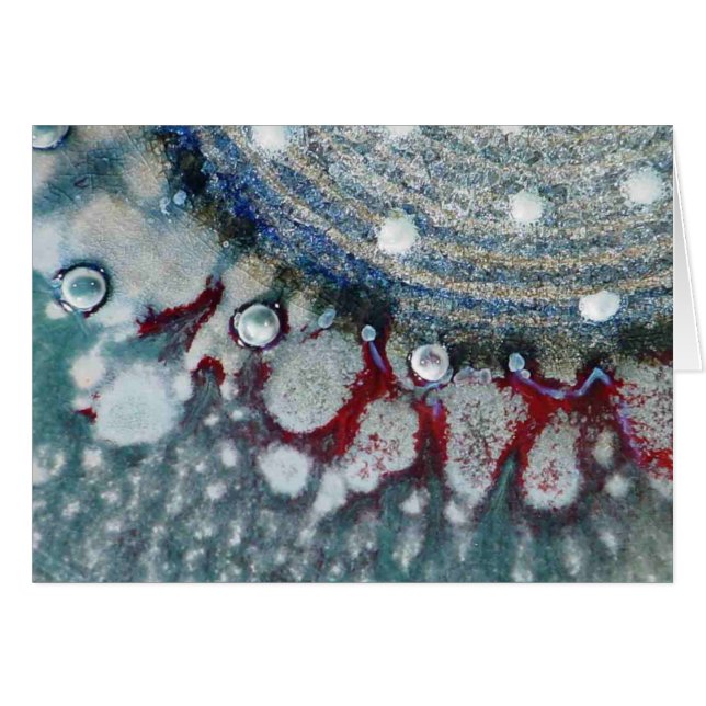 Serene Mariner (Voorkant Horizontaal)