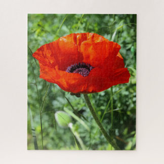 Serene natuur landschap legpuzzel