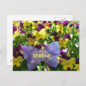 Serene Pansy Briefkaart (Voorkant / Achterkant)