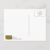 Serene Scene op Dogwood Creek Dank u Briefkaart (Achterkant)