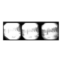 Serene Sierra Snowstorm