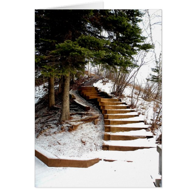 Serene Stairway (Voorkant)