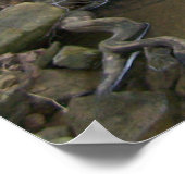 serene stroom poster (Hoek)