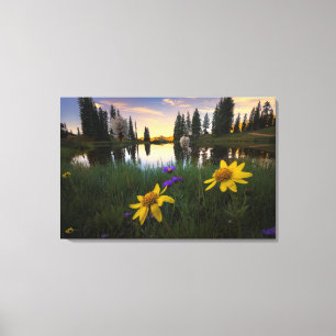 Serene Sunrise over een Colorado Pond Canvas Afdruk