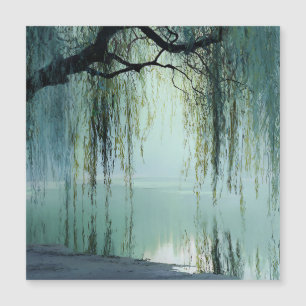 Serene Wilgenboom Reflectie Natuur Kunst (4)