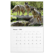 Serene Wolves Kalender (Feb 2026)