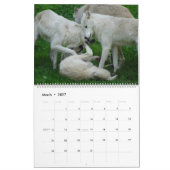Serene Wolves Kalender (Mar 2027)
