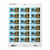 Serene Yelapa Vist 0758 Adres Etiket (Full Sheet)