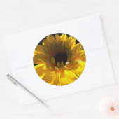 Serene Zonnebloem Ronde Sticker (Envelop)