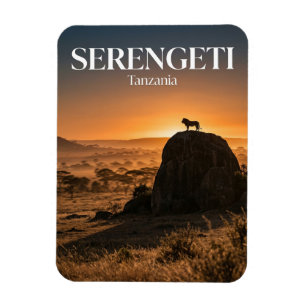 Serengeti, Arusha, Mara-regio Magneet