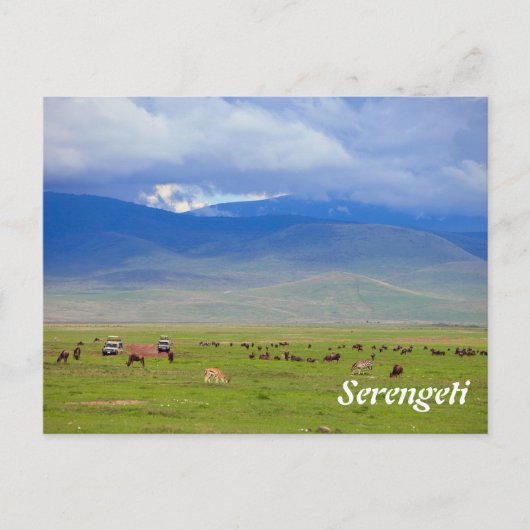Serengeti Briefkaart (Voorkant)