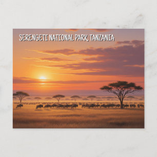Serengeti Nationaal Park Tanzania Briefkaart