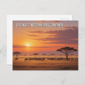 Serengeti Nationaal Park Tanzania Briefkaart (Voorkant / Achterkant)