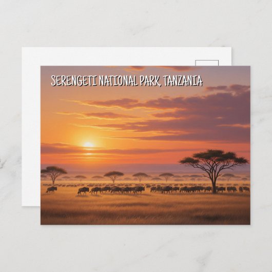 Serengeti Nationaal Park Tanzania Briefkaart (Voorkant / Achterkant)