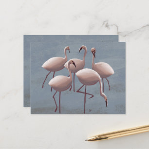 Serengeti Pink Flamingos   safari in het wild Briefkaart