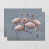 Serengeti Pink Flamingos | safari in het wild Briefkaart (Voorkant / Achterkant)