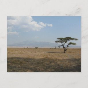 Serengeti Plains Briefkaart
