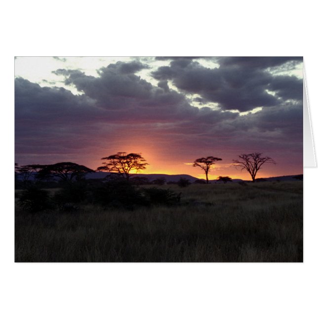 Serengeti_Sunset (Voorkant Horizontaal)