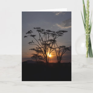 Serengeti Sunset Kaart