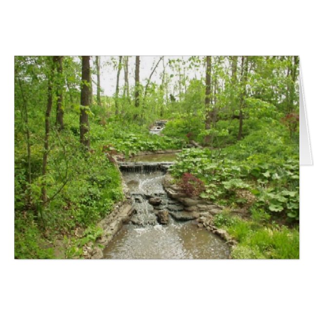 Sérénité (Devant horizontal)