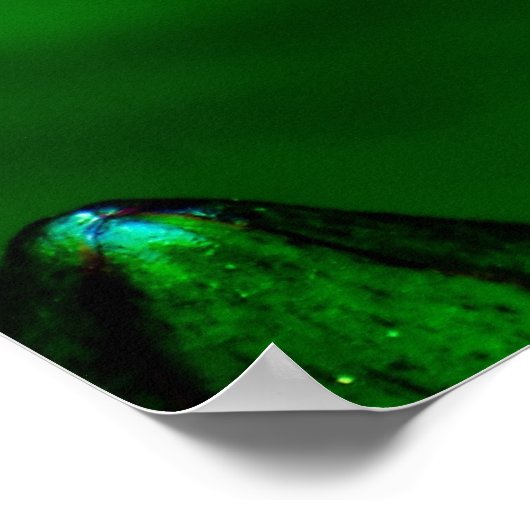 Sérénité - affiche (Coin)