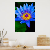 Sérénité - affiche (Cuisine)